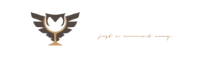Owlglass